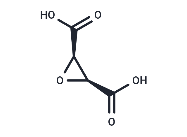 cis-Epoxysuccinic acid