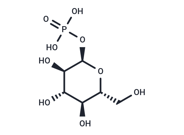 α-D-Glucose 1-phosphate