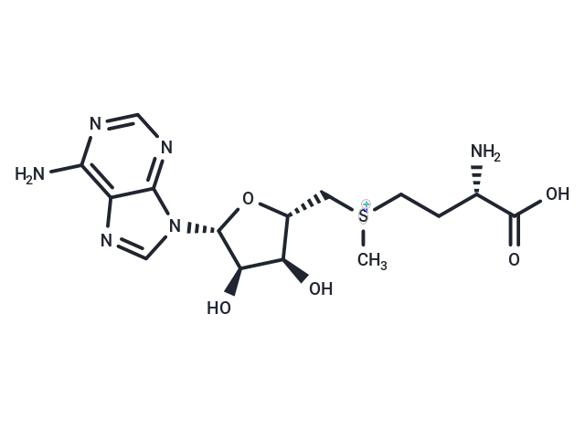 S-adenosylmethionine
