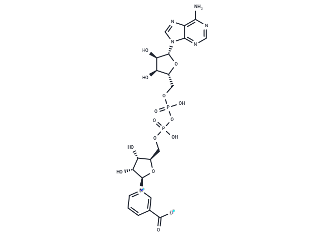 Nicotinic Acid Adenine Dinucleotide