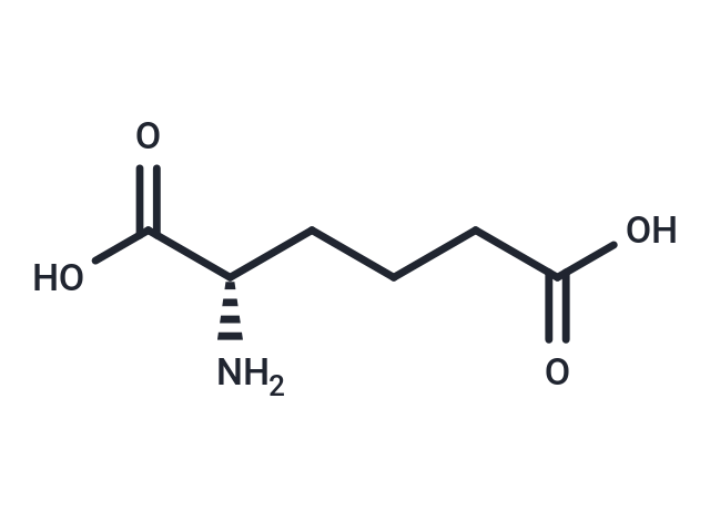 L-α-Aminoadipic Acid