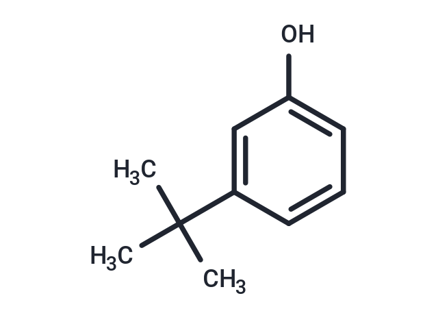 3-tert-Butylphenol