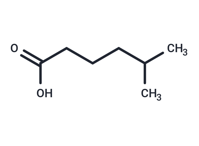 5-Methylhexanoic acid