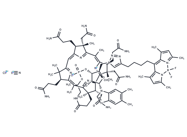 BODIPY-labeled vitamin B12