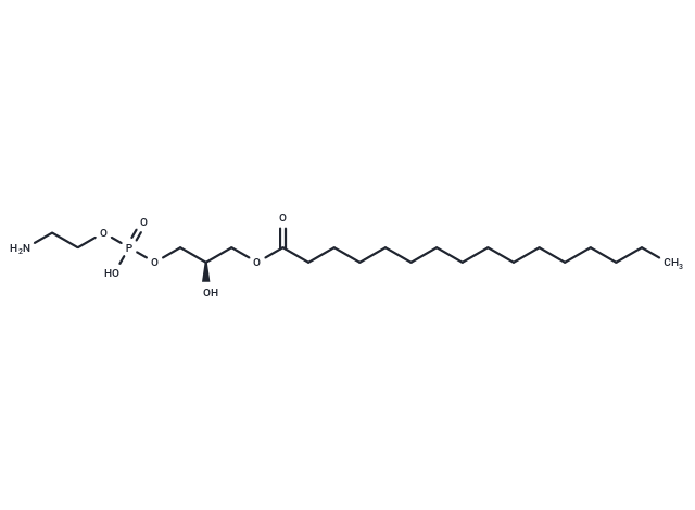 1-Palmitoyl-2-hydroxy-sn-glycero-3-PE
