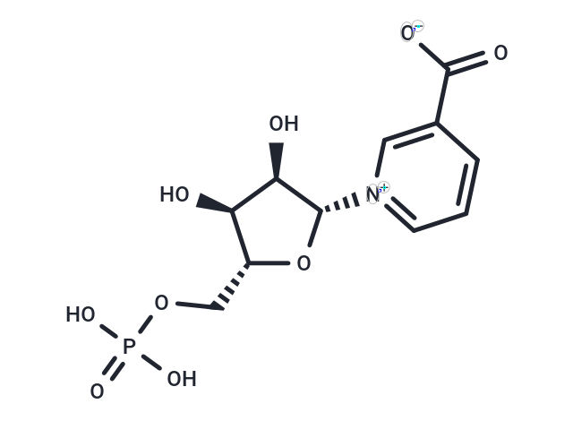 Nicotinic acid mononucleotide