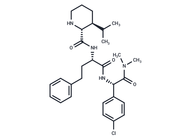RSV L-protein-6