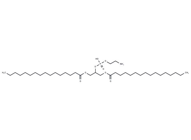 1,3-Dipalmitoyl glycero-2-PE
