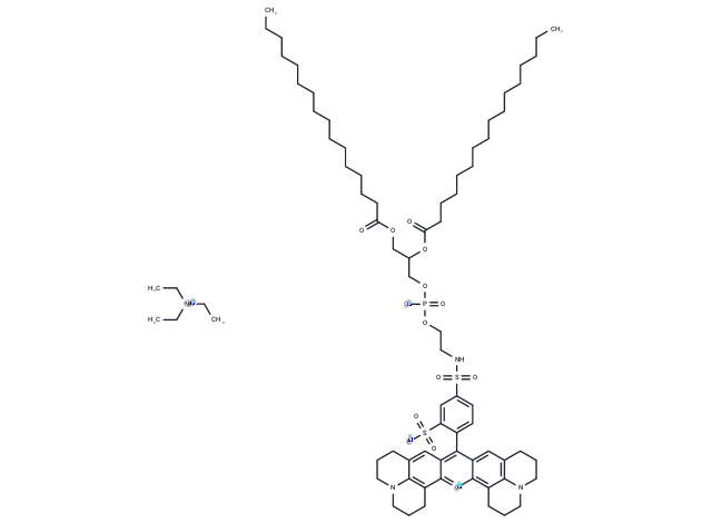 Sulforhodamine 101 DHPE