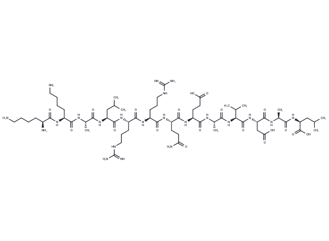 Autocamtide-2-related inhibitory peptide