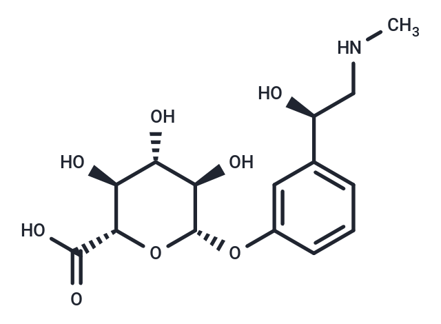 Phenylephrine Glucuronide