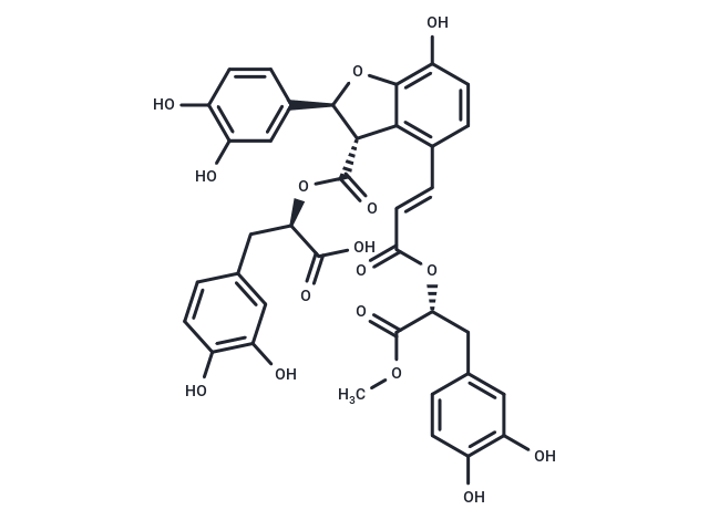 9'''-Methyl salvianolate B