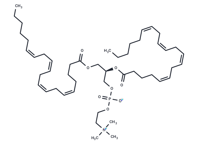 1,2-Dibehenoyl-sn-glycero-3-phosphocholine