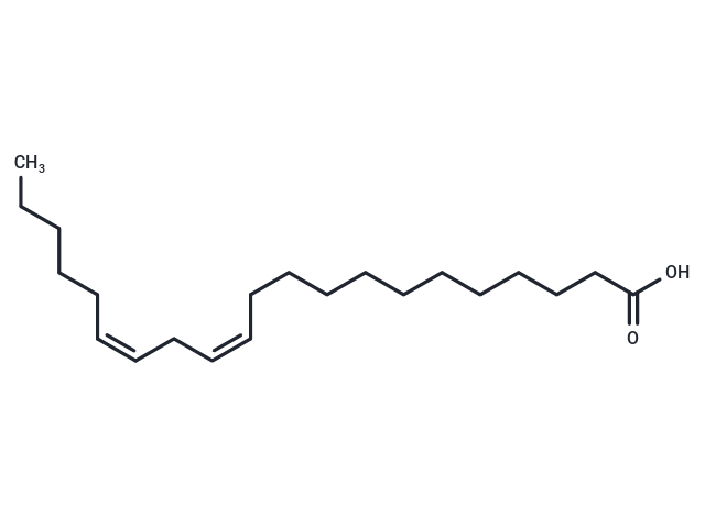 12(Z),15(Z)-Heneicosadienoic Acid