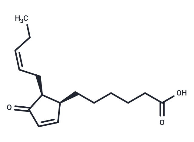 dinor-12-oxo Phytodienoic Acid
