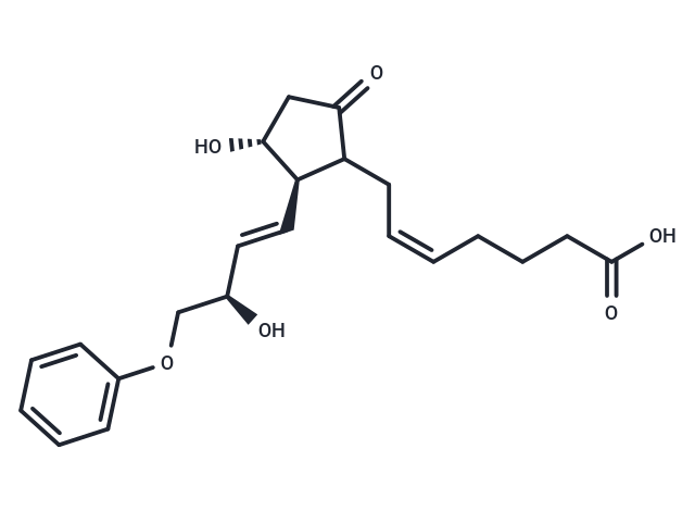 16-phenoxy tetranor Prostaglandin E2
