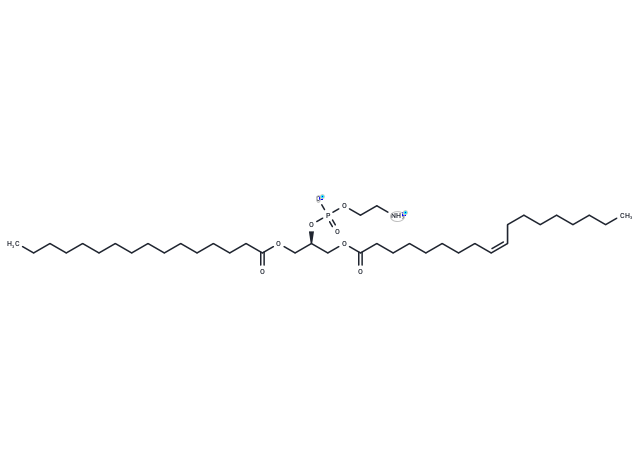 1-Palmitoyl-3-oleoyl-sn-glycero-2-PE