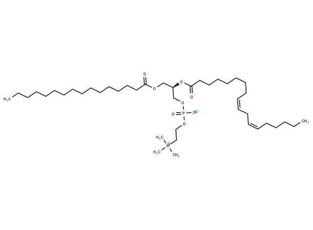 1-Palmitoyl-2-Linoleoyl-sn-glycero-3-PC