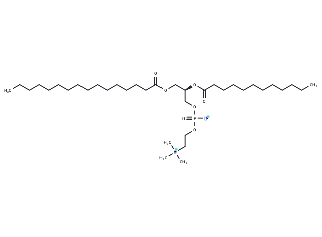 1-Palmitoyl-2-Lauroyl-sn-glycero-3-PC