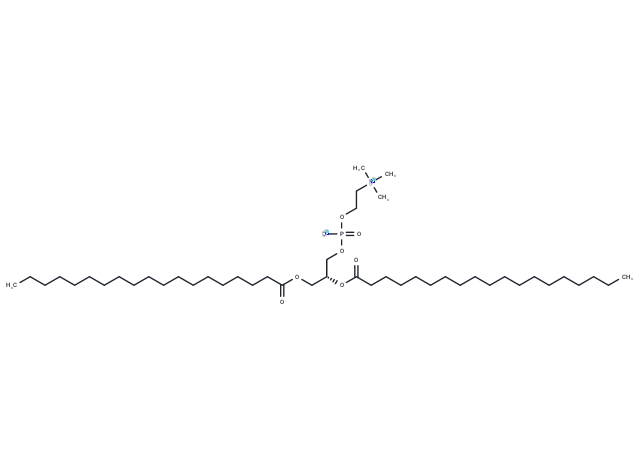 1,2-Dinonadecanoyl-sn-glycero-3-PC