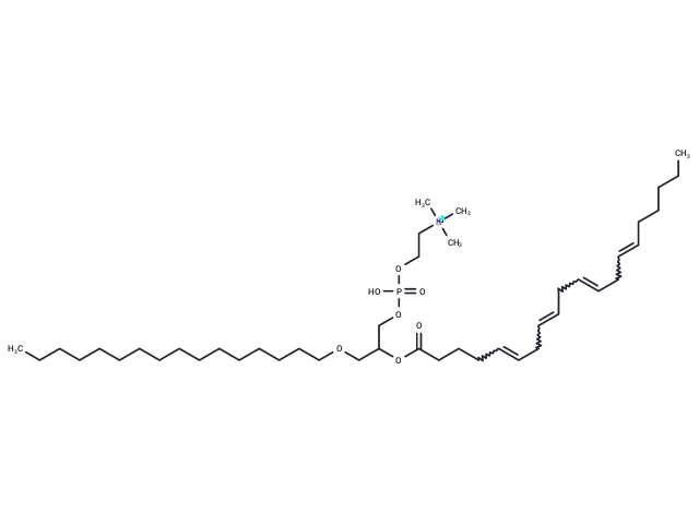 1-O-hexadecyl-2-Arachidonoyl-sn-glycero-3-PC