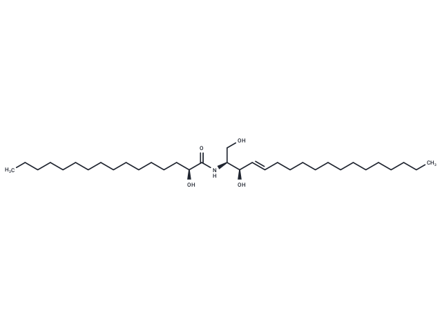 C16 (2'(S)-hydroxy) Ceramide (d18:1/16:0)