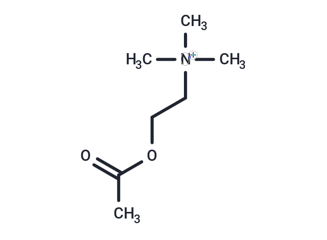 Acetylcholine