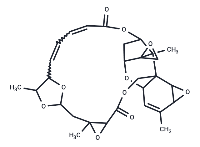 7β,8β-2′,3′-Diepoxyroridin H