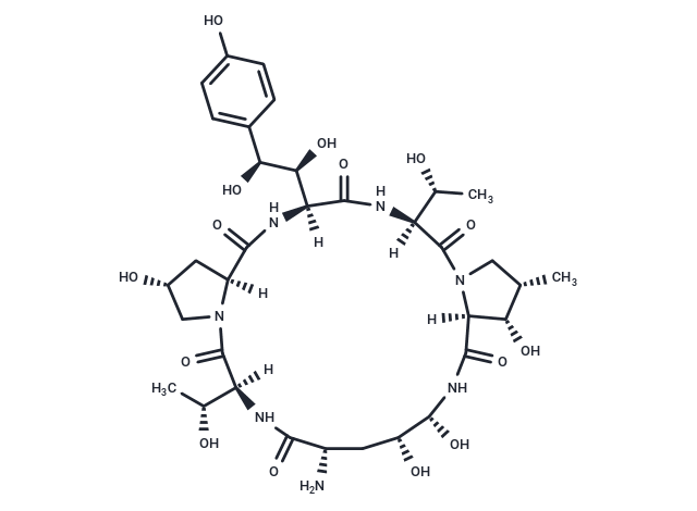 Echinocandin B nucleus