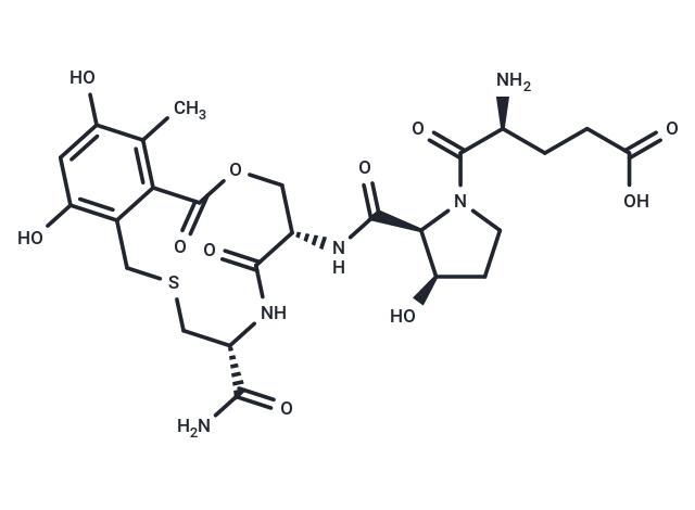 Cyclothialidine E