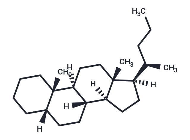 5β-Cholane
