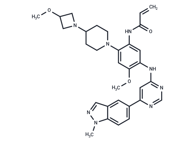 Andamertinib