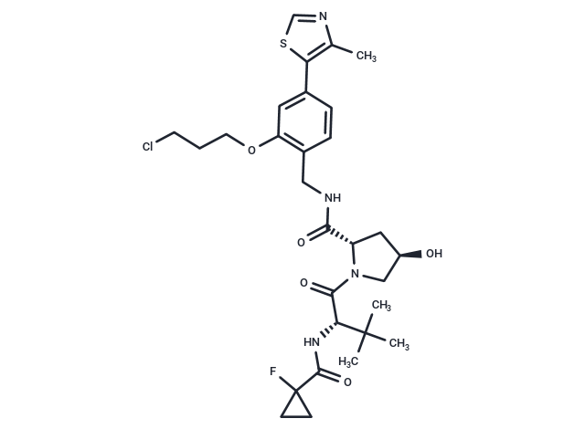 E3 Ligase Ligand-linker Conjugate 173