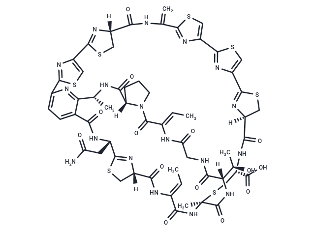 Cyclothiazomycin