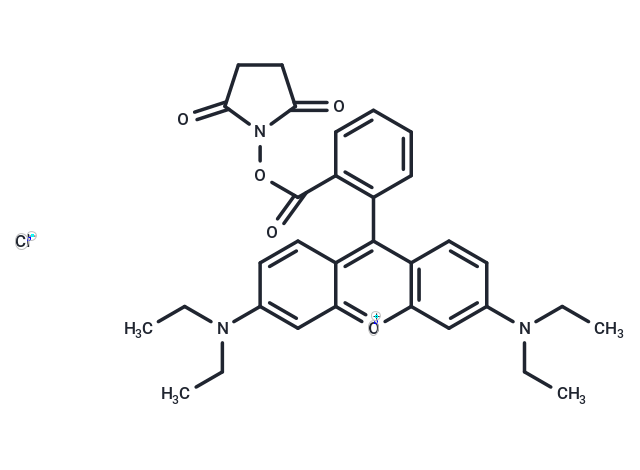 Rhodamine B NHS ester