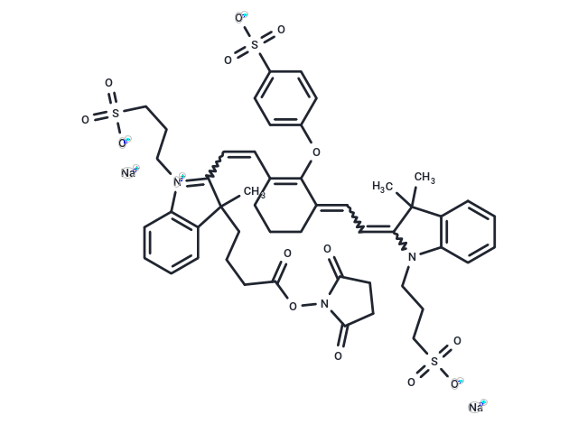 BP Light 800 NHS ester