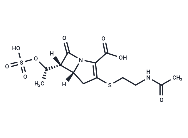 Epithienamycin F
