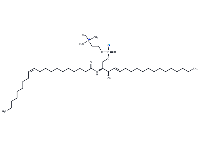 C20 Sphingomyelin (d18:1/20:1)