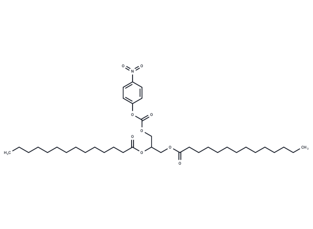 DMG-Nitrophenyl carbonate