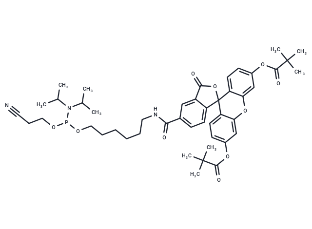 FAM phosphoramidite, 5-isomer