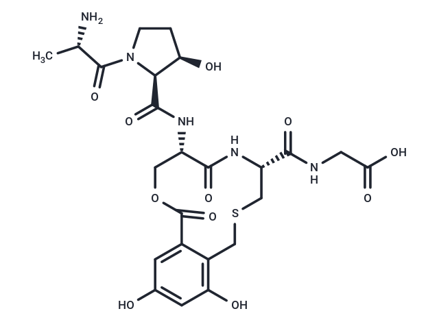 Cyclothialidine D