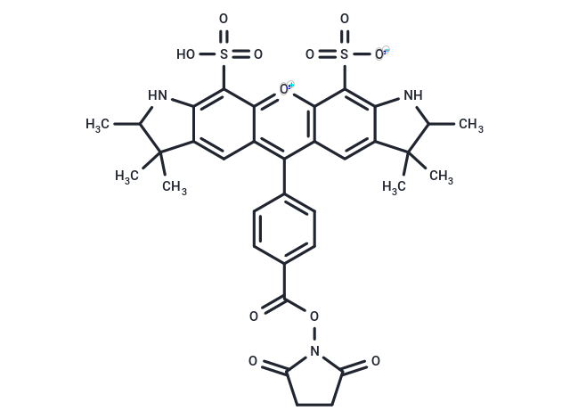 BP Fluor 532 NHS ester