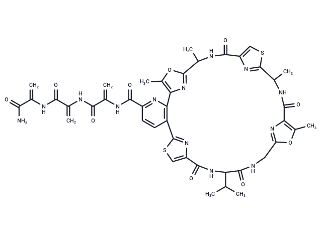 Promothiocin B