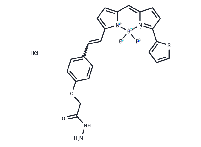 BDP 630/650 hydrazide hydrochloride