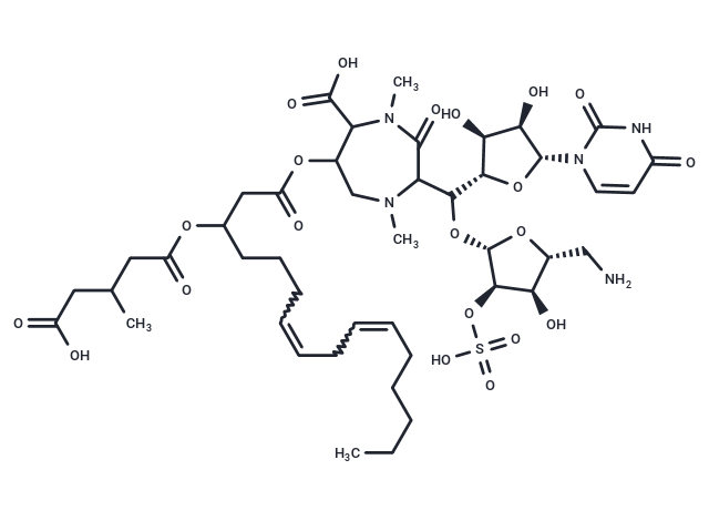 Liposidomycin A