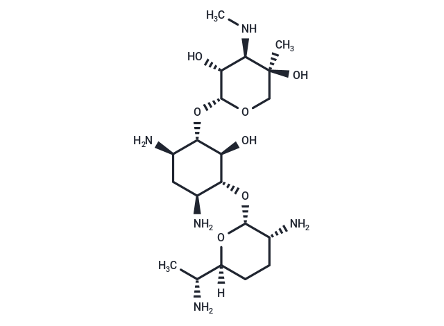 Gentamicin C2