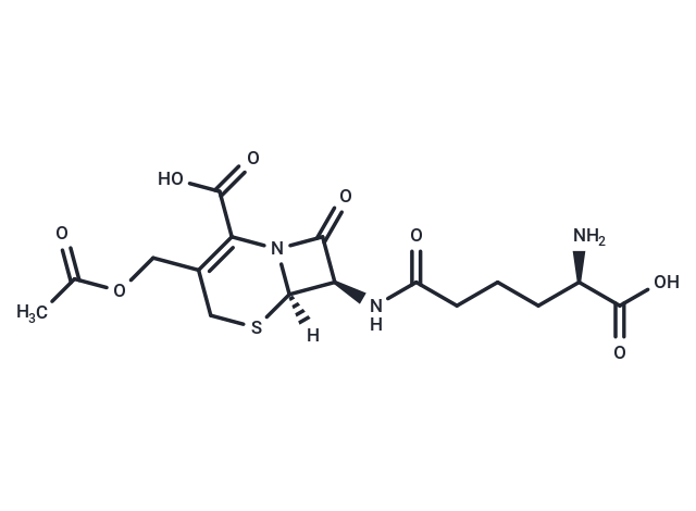 Cephalosporin C