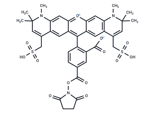 BP Fluor 594 NHS ester