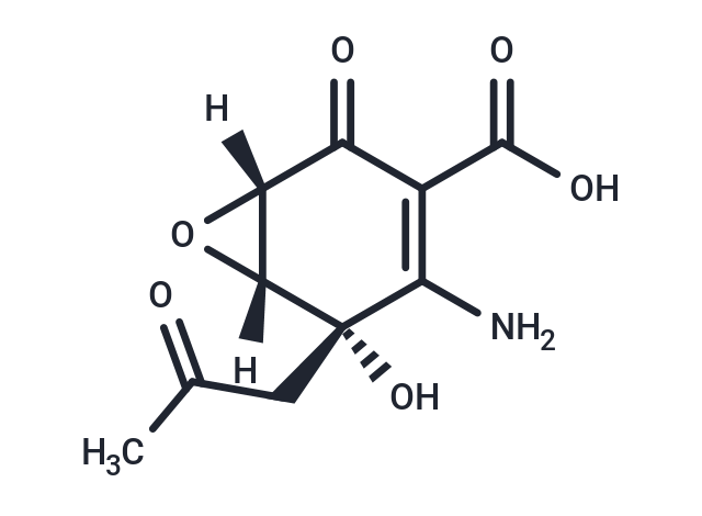 Enaminomycin B
