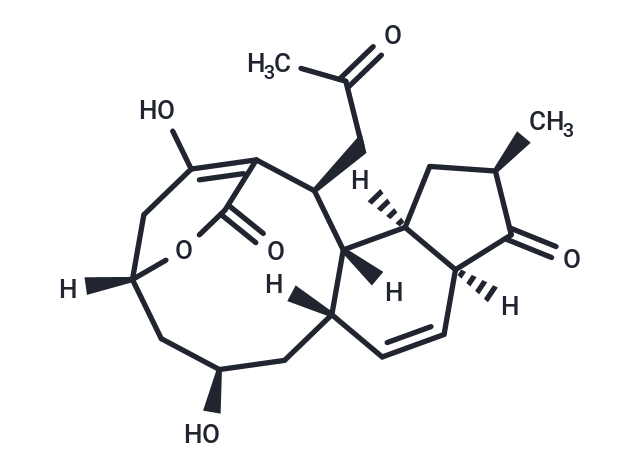 Macquarimicin B